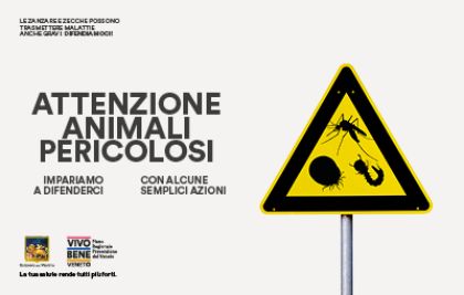 Trattamenti larvicidi anno 2024 e distribuzione pastiglie contro le zanzare