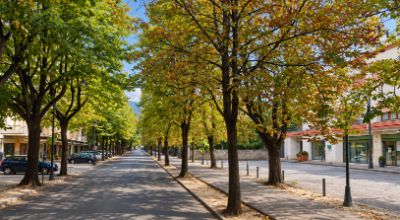 Alberi