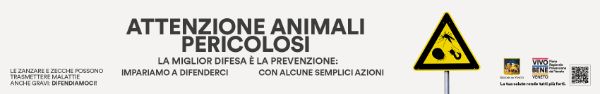 banner 2