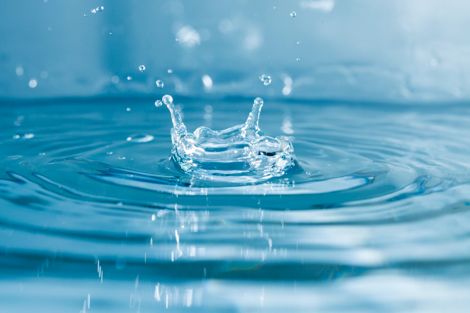 Acqua Acqua